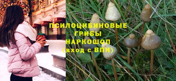 стаф Зеленокумск