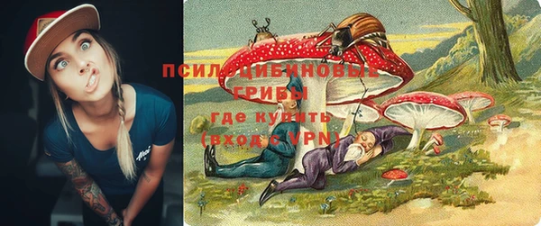 стаф Зеленокумск