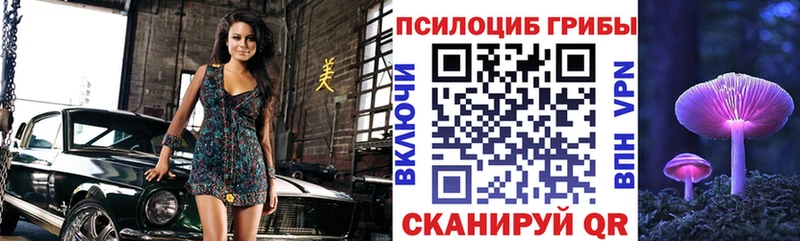 Купить где  Берёзовский  Галлюциногенные грибы Cubensis 